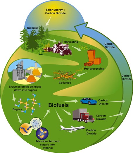biofuels diagram