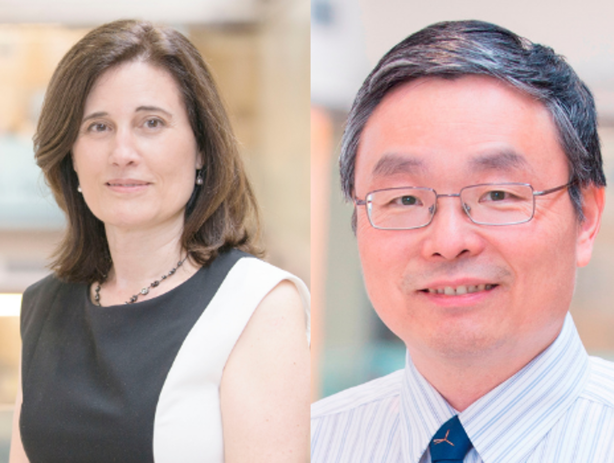 Kontopoulou, Liu granted funding to advance commercial potential for inventions