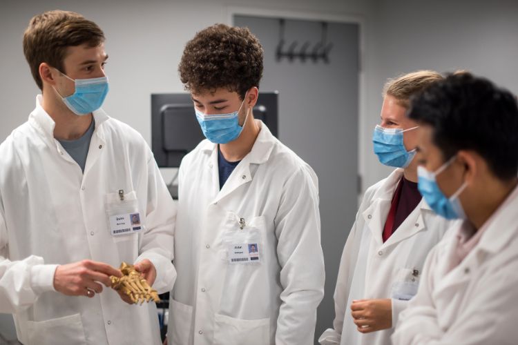 Team of researchers in white coats discuss foot mechanics